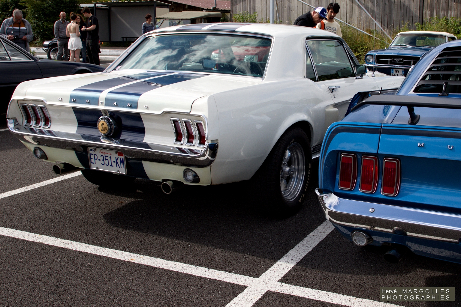 Ford Mustang-02.jpg